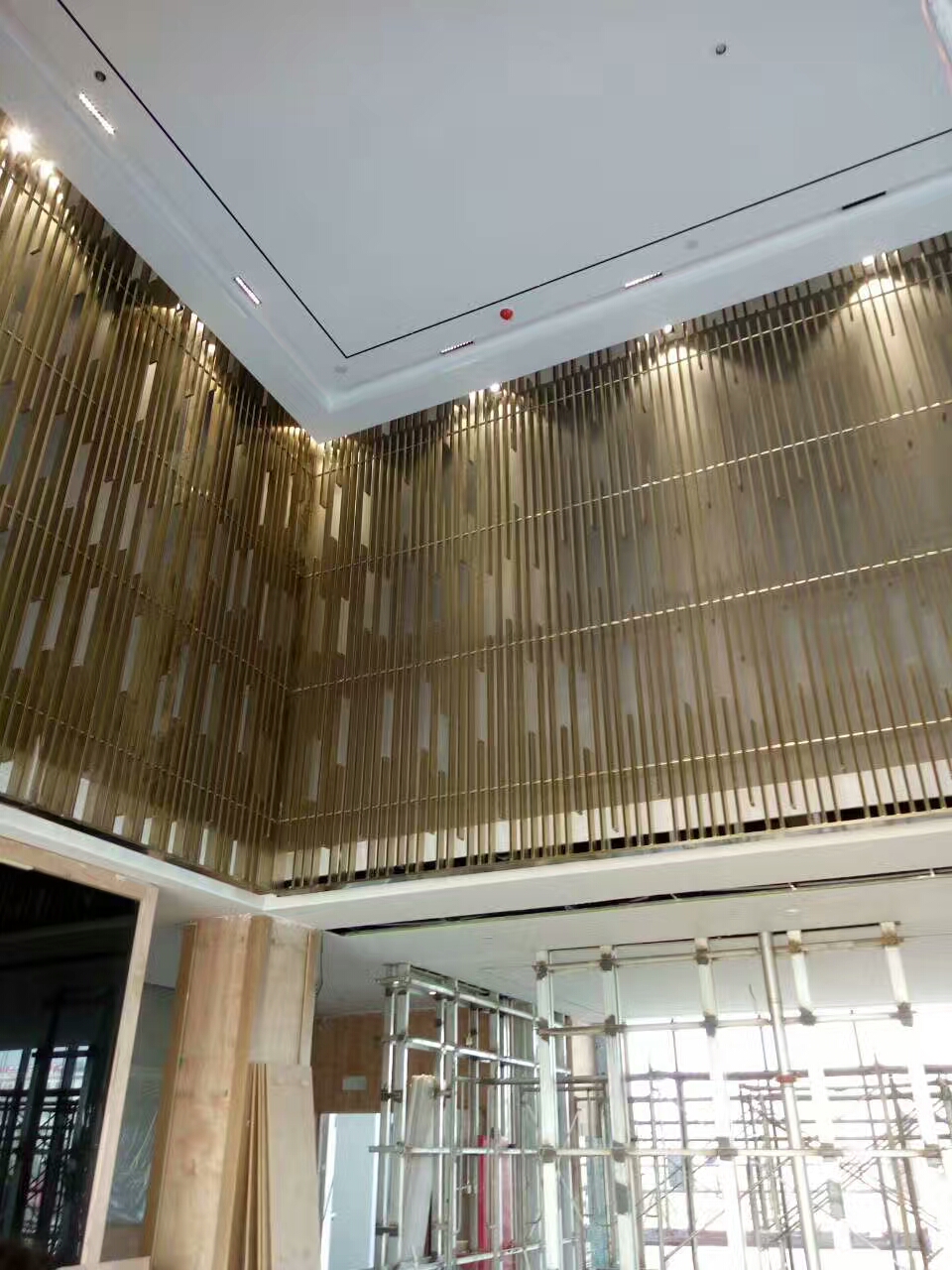 青青草视频下载污